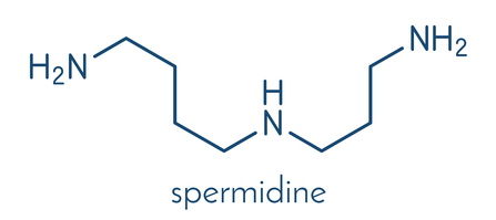 스크린샷 2025-12-23 112843.png